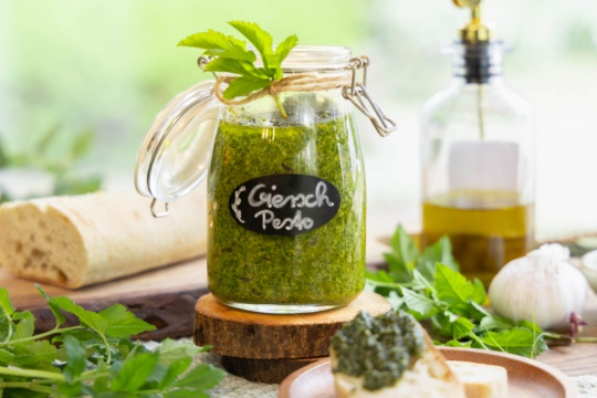 Giersch-Pesto