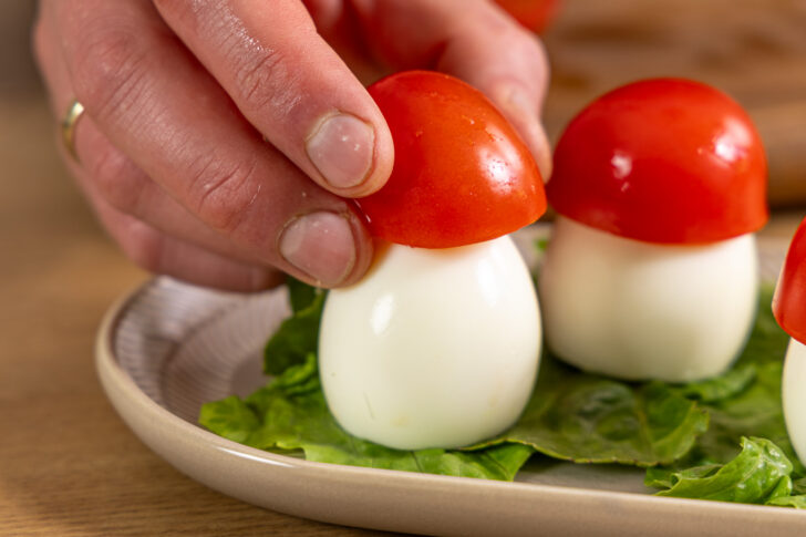 Tomaten aufsetzen