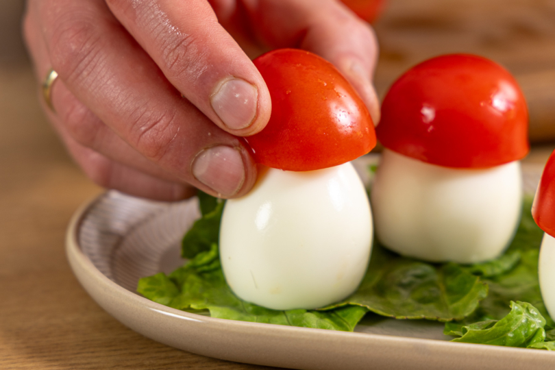 Tomaten aufsetzen