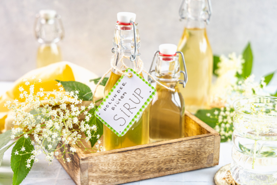 Holunderblütensirup warm ansetzen