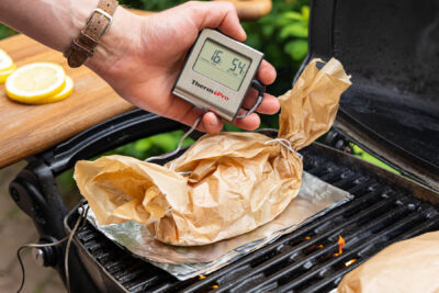 Lachs-Gemüse-Päckchen vom Grill Kerntemperatur kontrollieren