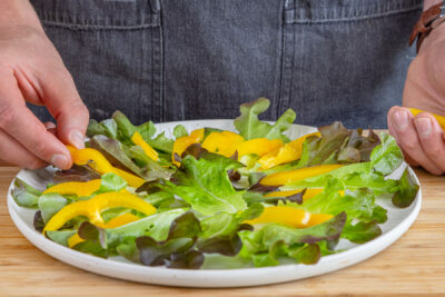 Salat anrichten